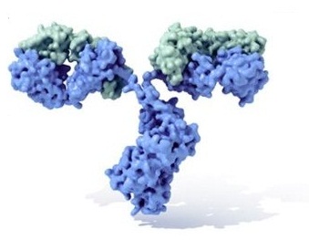 云开体育app官网