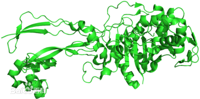 云开体育app官网