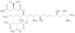 云开体育app官网