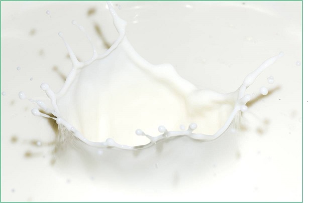 云开体育app官网