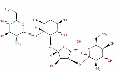 新霉素荧光检测试纸条
