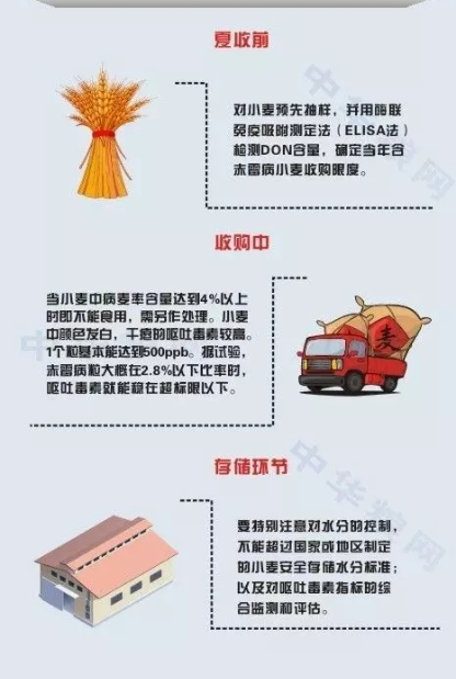 云开体育app官网