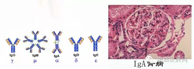 云开体育app官网