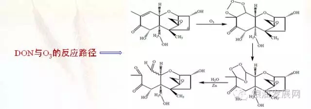 云开体育app官网