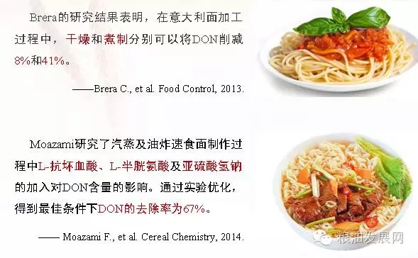 云开体育app官网