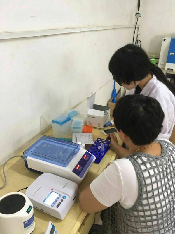 云开体育app官网