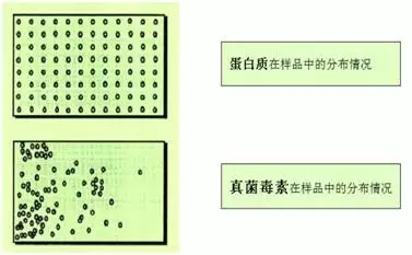 云开体育app官网