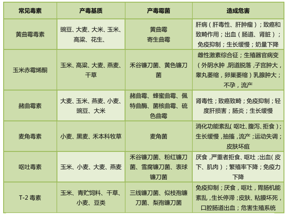 霉菌毒素的种类及危害