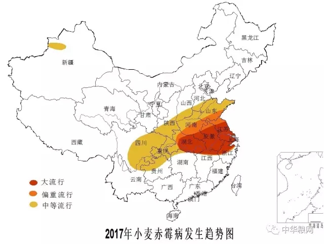 云开体育app官网