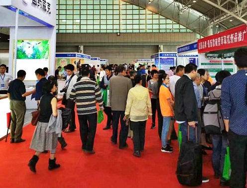 云开体育app官网