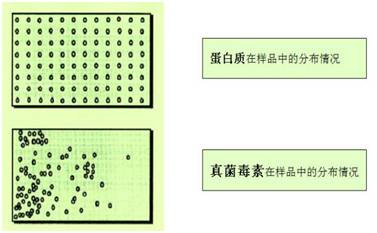 云开体育app官网