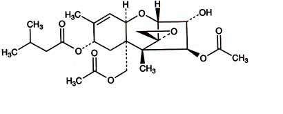 云开体育app官网