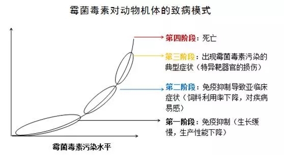 云开体育app官网