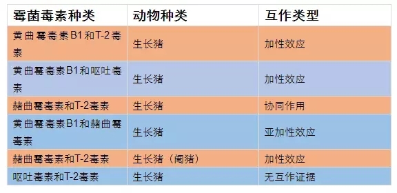 云开体育app官网