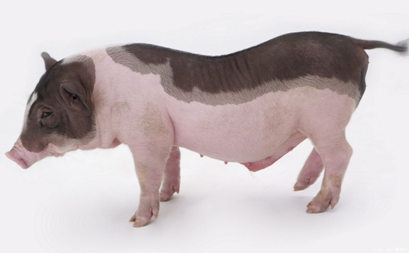 云开体育app官网