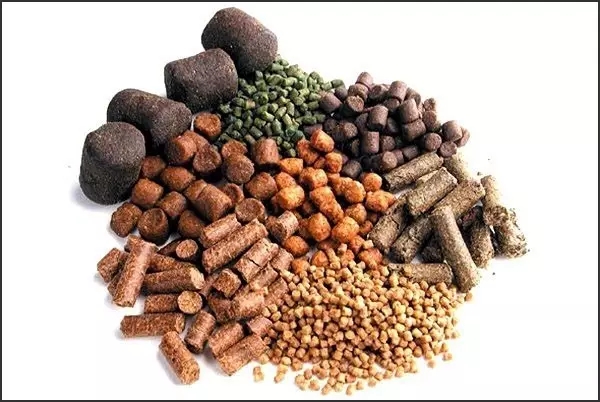 云开体育app官网