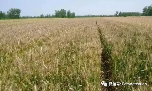 云开体育app官网