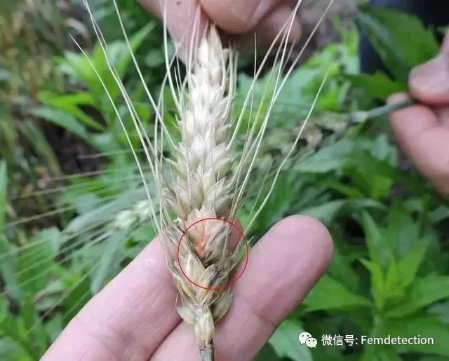 云开体育app官网