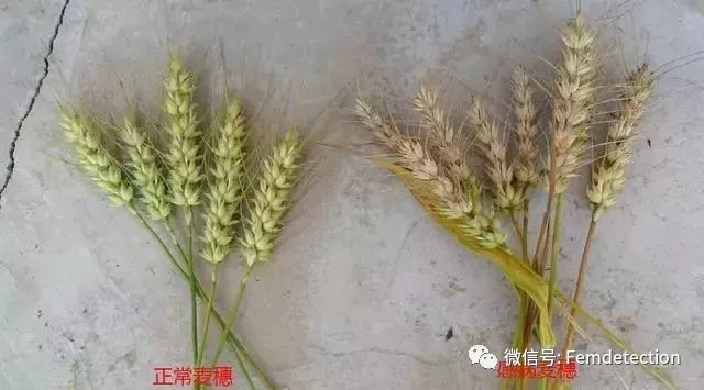 云开体育app官网