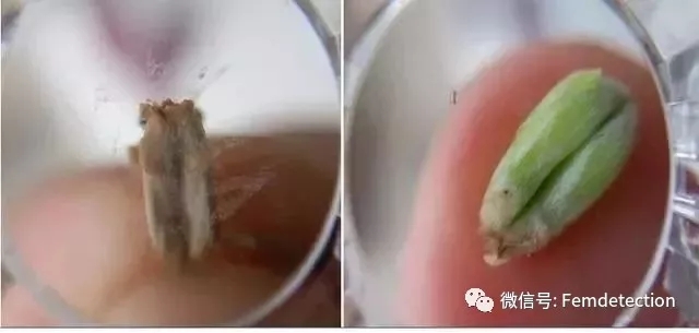 云开体育app官网