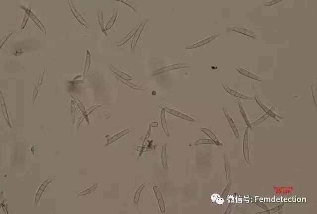 云开体育app官网