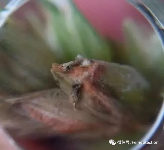 云开体育app官网