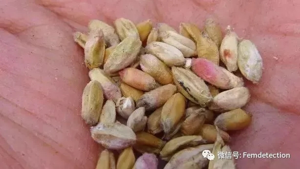 云开体育app官网