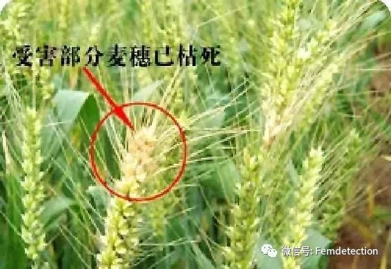 云开体育app官网