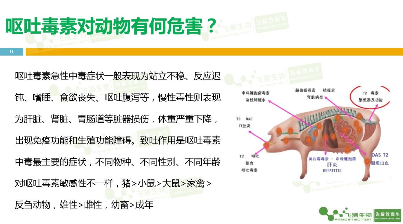 云开体育app官网