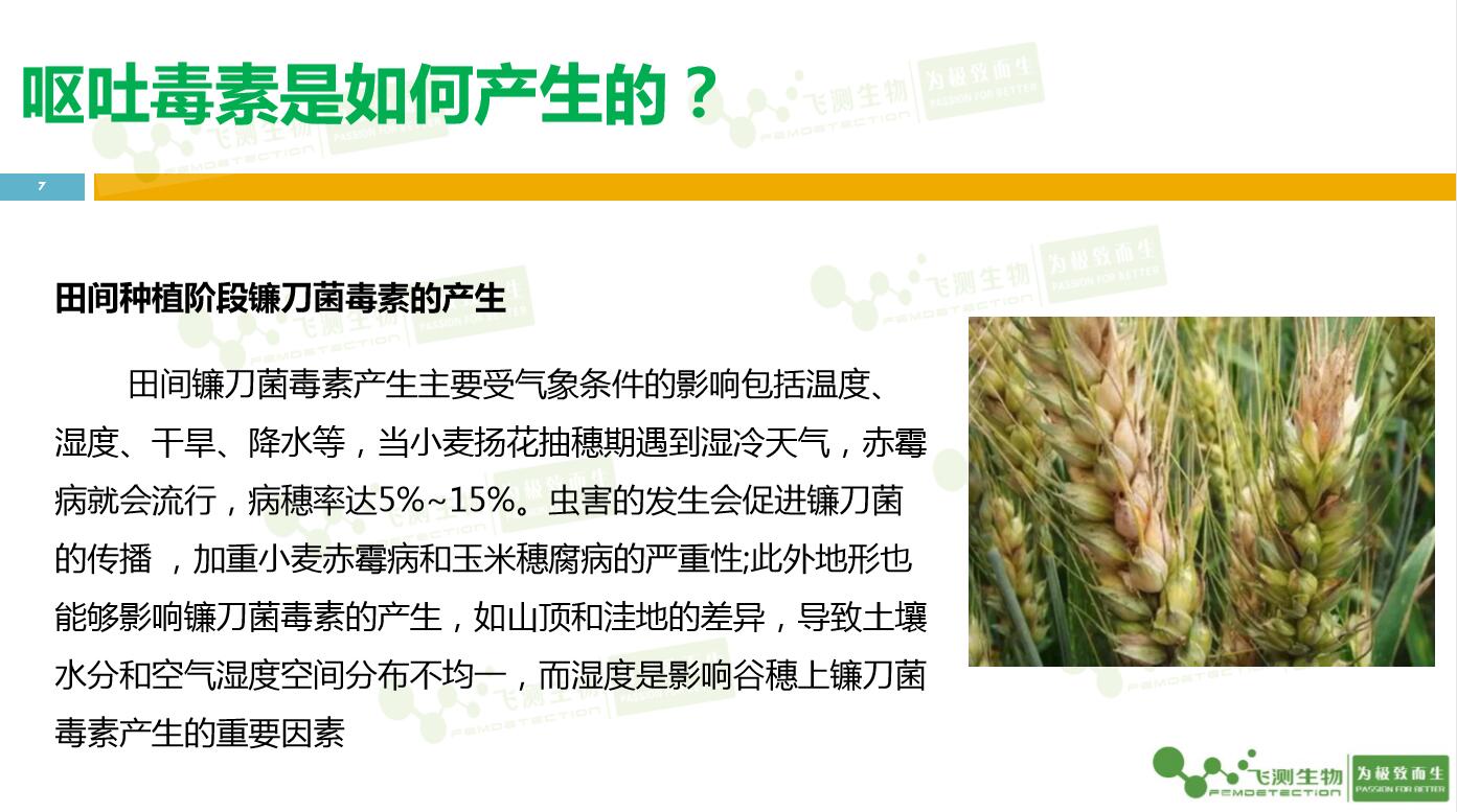 云开体育app官网