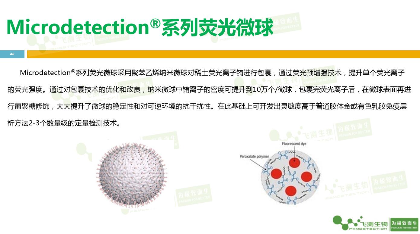 云开体育app官网