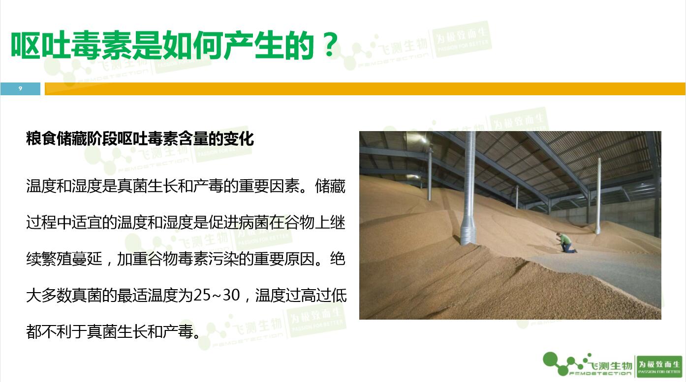 云开体育app官网