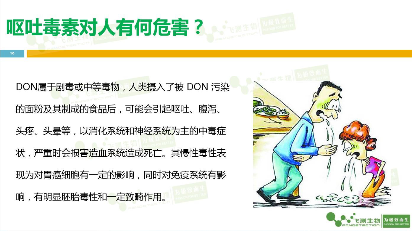 云开体育app官网