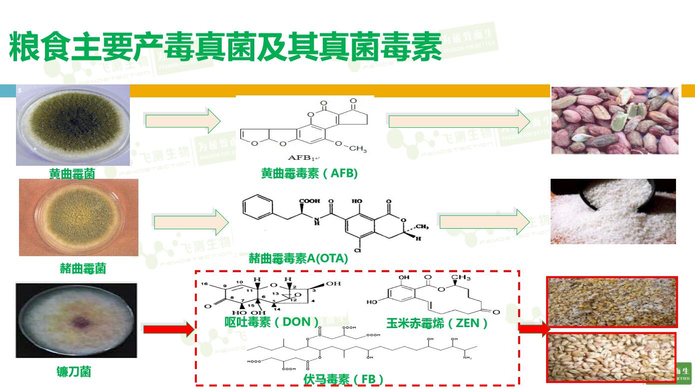 云开体育app官网