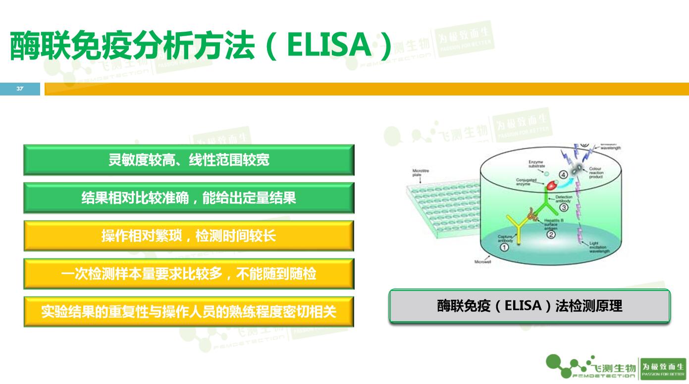 云开体育app官网