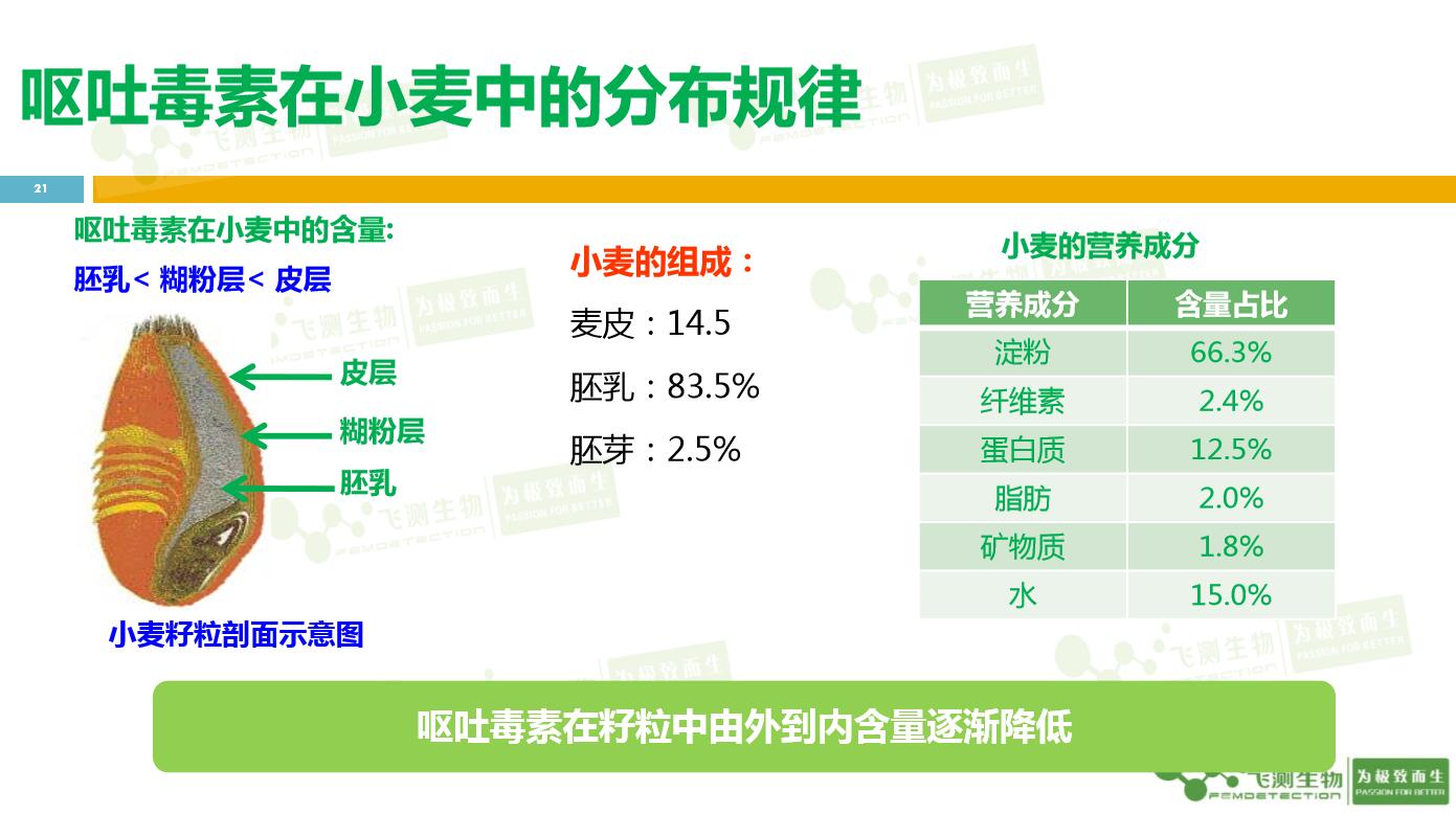 云开体育app官网