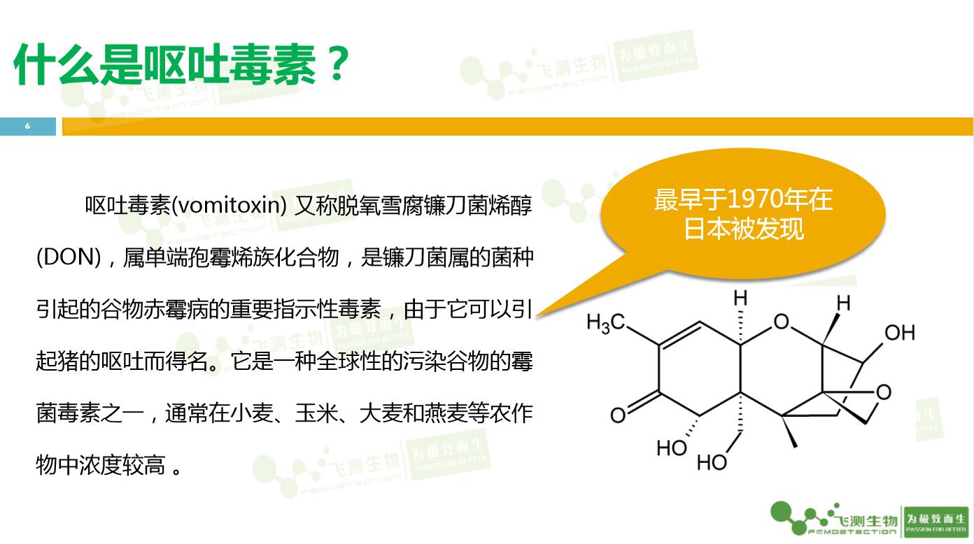云开体育app官网