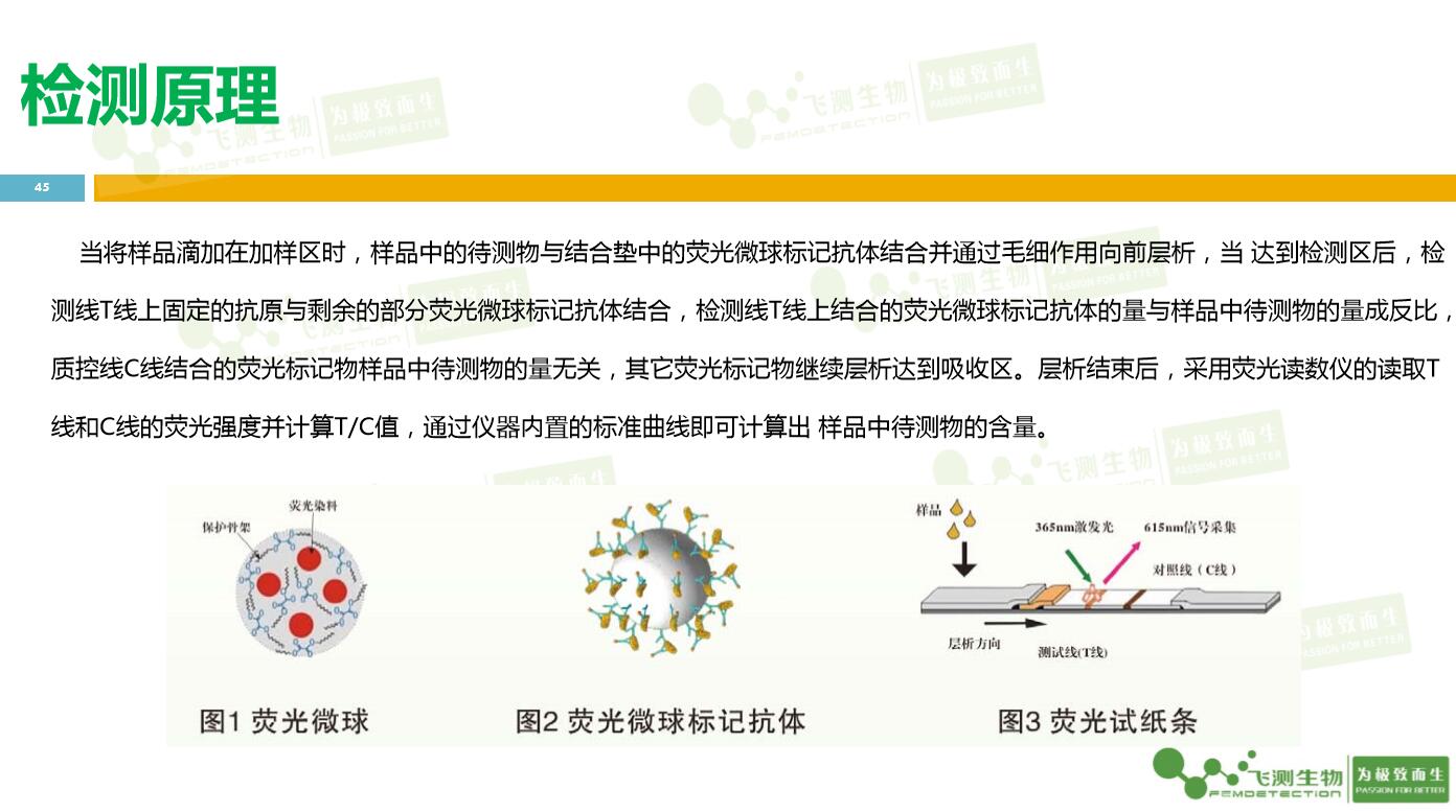 云开体育app官网