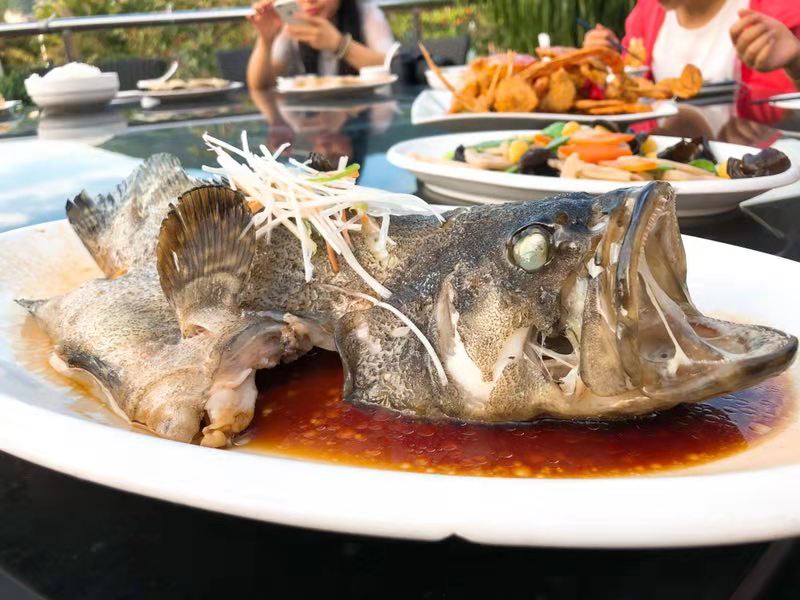 云开体育app官网