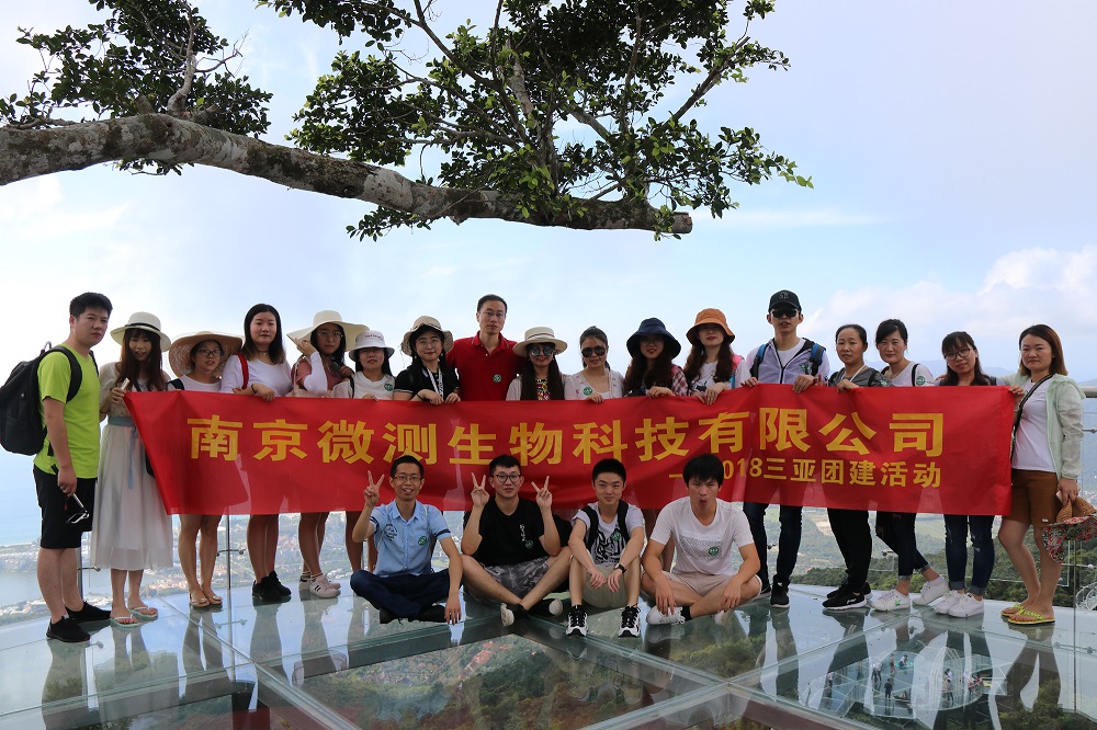 云开体育app官网