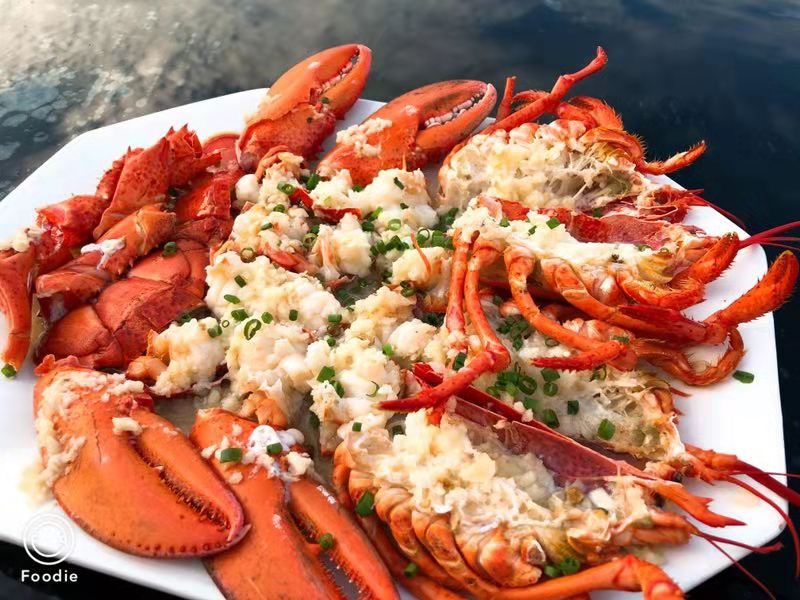 云开体育app官网