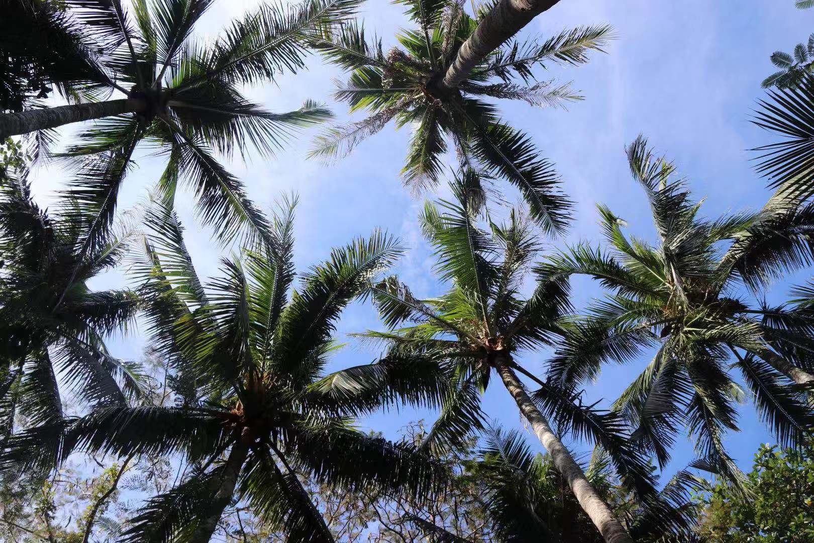 云开体育app官网