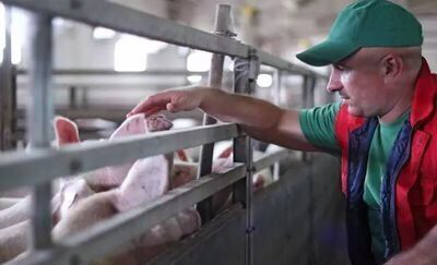 云开体育app官网