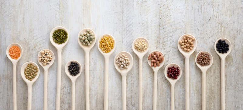 云开体育app官网