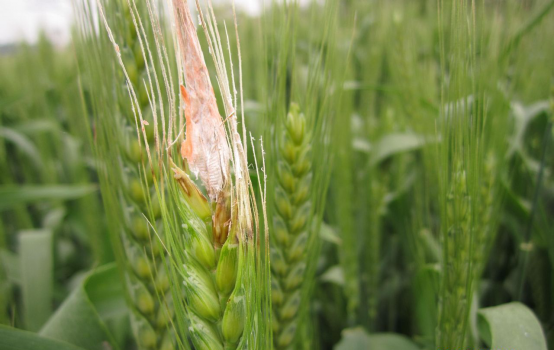 云开体育app官网