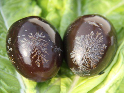 云开体育app官网