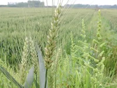 云开体育app官网