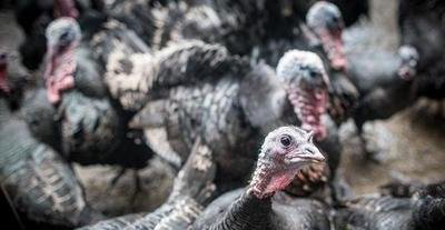 云开体育app官网