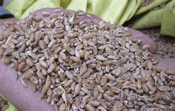 云开体育app官网