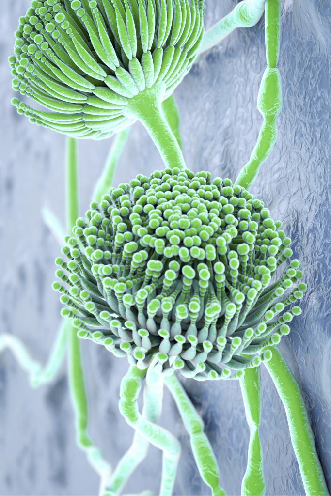 云开体育app官网